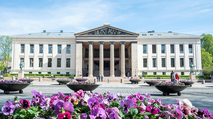 Illustration photo of the old university building with flowers in front. 
