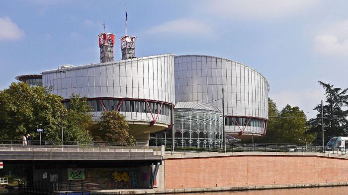 Den europeiske menneskerettsdomstol